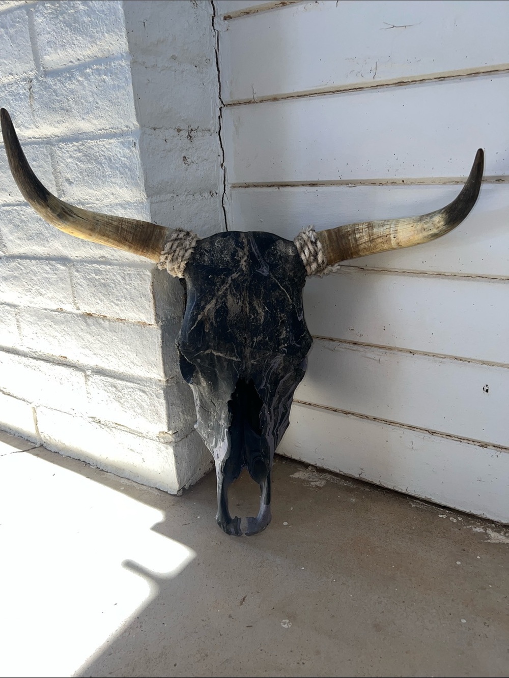 Longhorn Skull Wall Decor